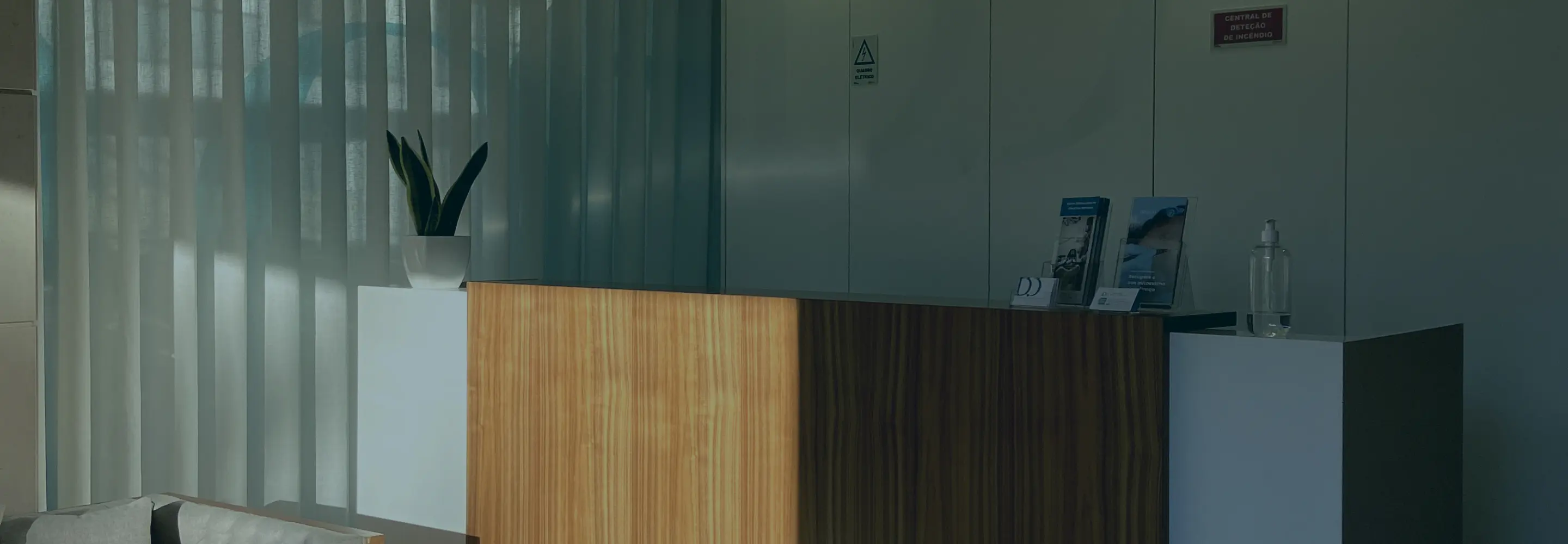 Blogues de Saúde Capilar